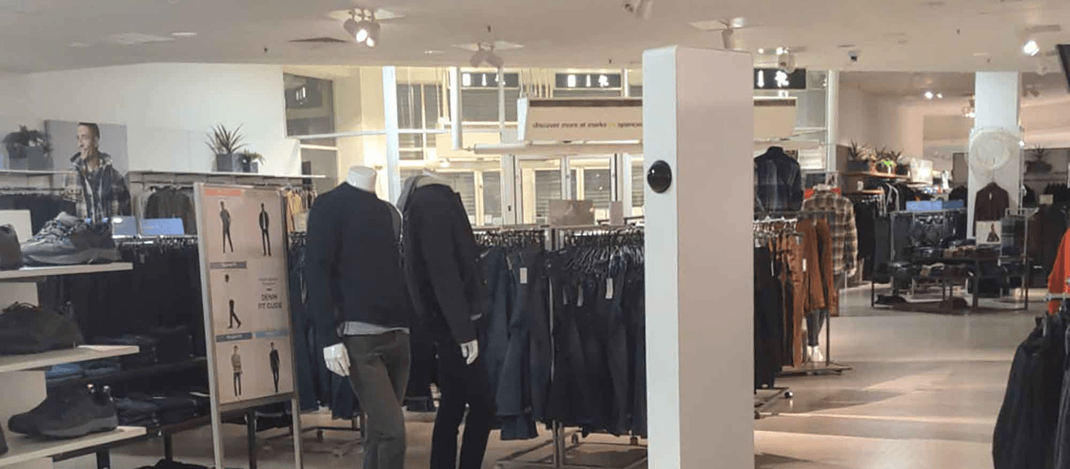 Organization background